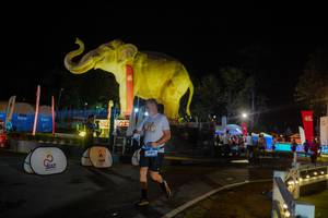 BIB: 
                            <button type="button" onclick="openModal(26552387)" class="btn btn-primary btn-sm float-right btn-popup" data-toggle="modal" data-target=".modal-high-quality">
                        <i class="fas fa-shopping-cart"></i> Add to Cart
                    </button>
                                            <button type="button" onclick="isThisMe(26552387, true)" class="btn btn-success btn-sm float-right btn-popup btn-isme hidden" data-toggle="tooltip" data-placement="bottom" title="นี่คือรูปของคุณใช่ไหม คลิกที่นี่เพื่อเอาเข้าอัลบั้ม">
                        <i class="fas fa-plus"></i> Add to album
                    </button>
                    <button type="button" onclick="isThisMe(26552387, false)" class="btn btn-warning btn-sm float-right btn-popup btn-isnotme hidden">
                        <i class="fas fa-ban"></i> Remove from album
                    </button>